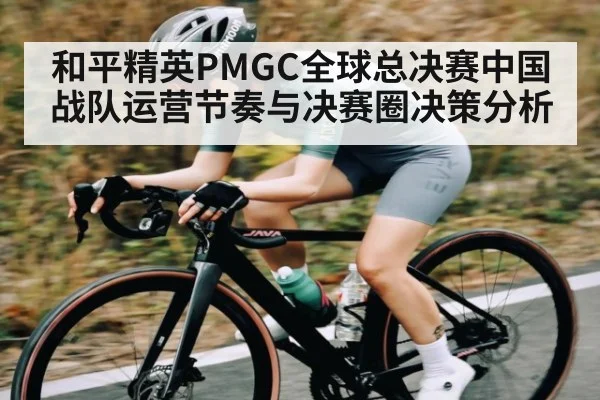和平精英PMGC全球总决赛中国战队运营节奏与决赛圈决策分析